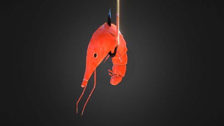 Tiger Prawn WorldSkills 2020 3D Model