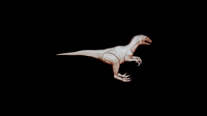 Velociraptor21 3D Model