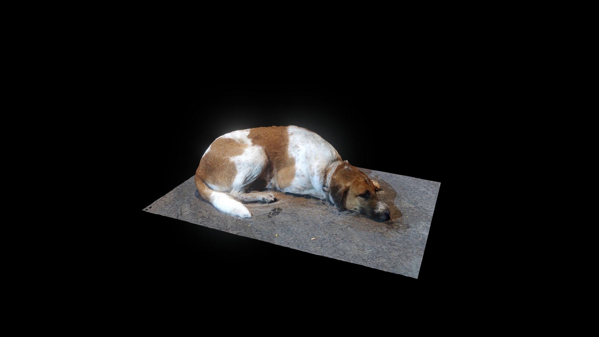 GoodBoyTest2