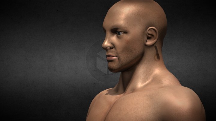 Charecter Male 3D Model
