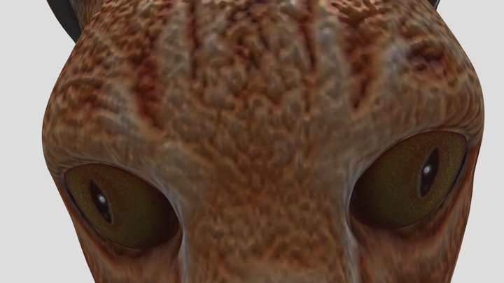 Orange cat :3 3D Model
