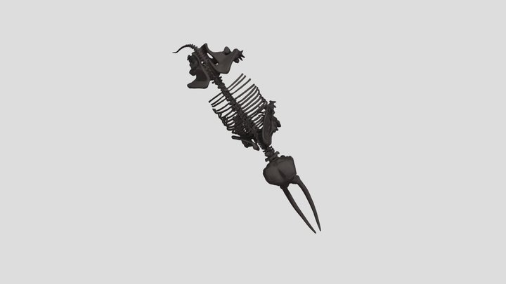 NMNS_20220606_ Elephant_879K_ Gray_ Brown 3D Model