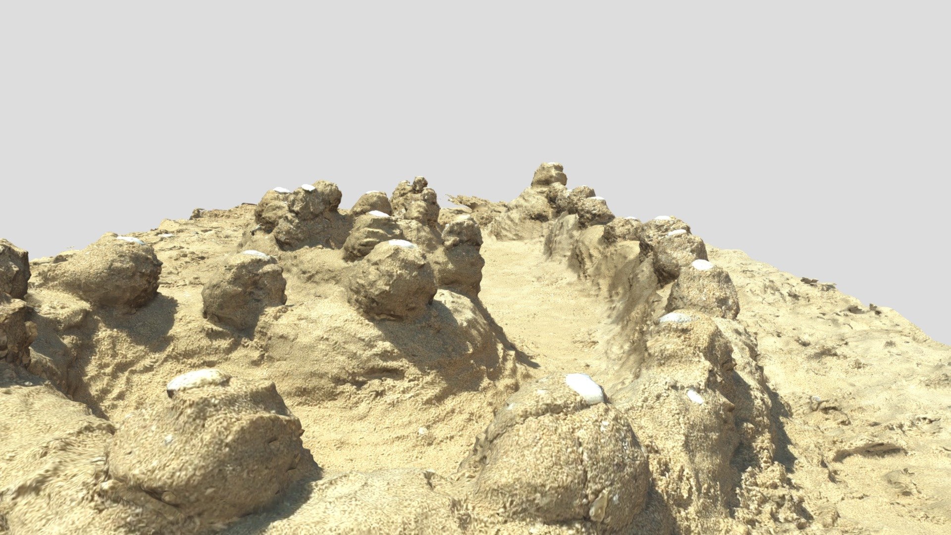 Rye Beach Sandcastle 20220206