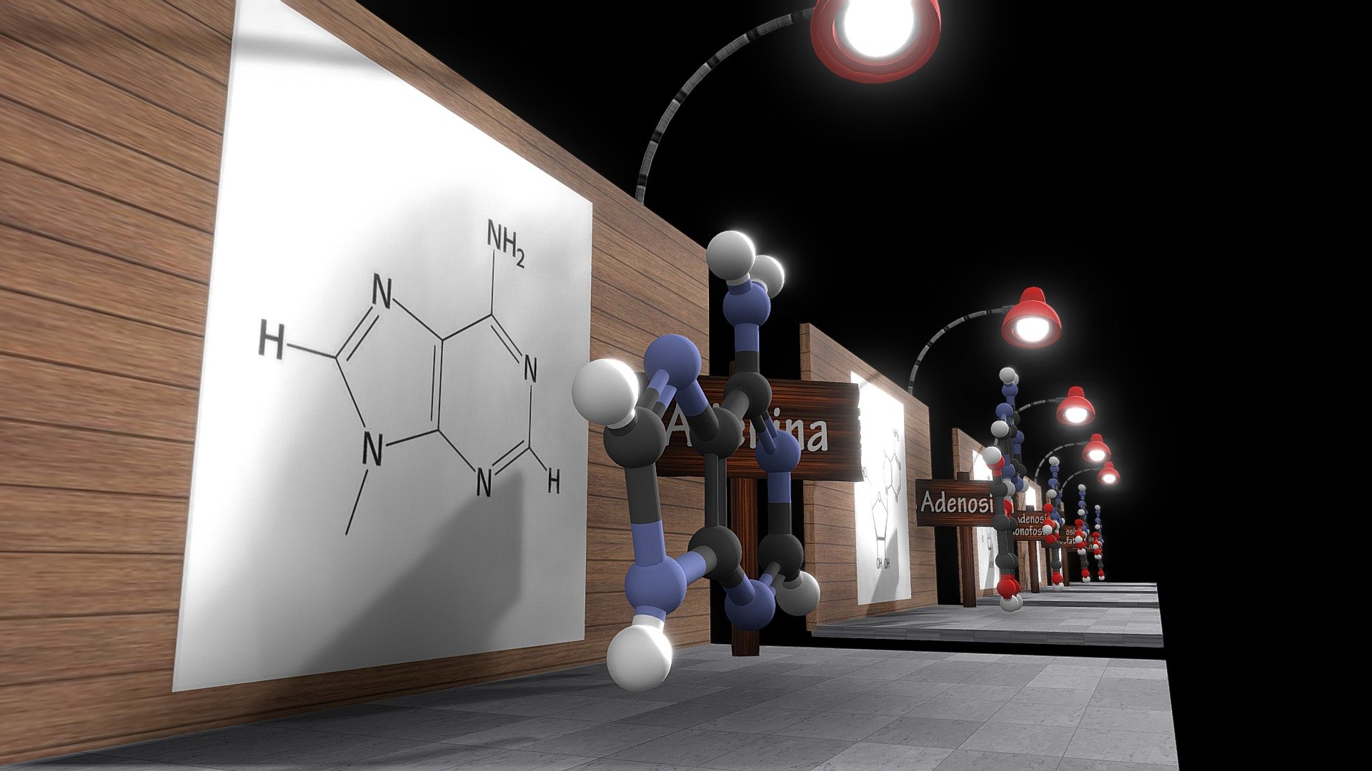 Escenario con nomenclaturas: Adenina