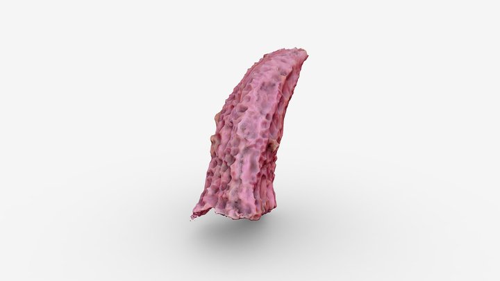 Latex Object 3D Model
