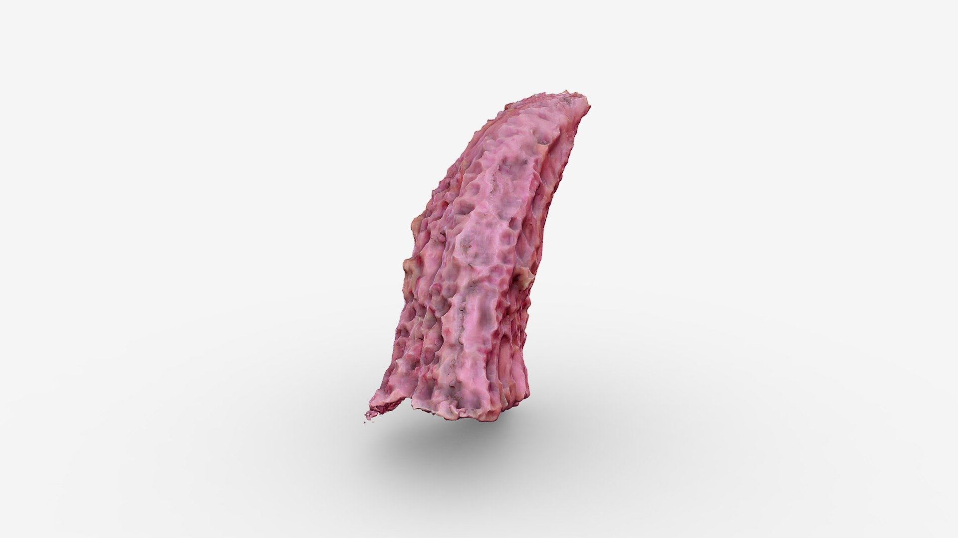 Latex Object