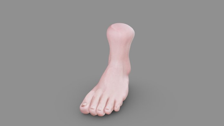 feet 3D Model