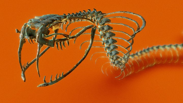 Cobra Skeleton Guardian 3D Model