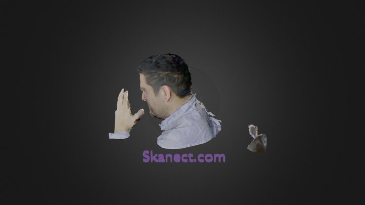New Skanect Model 3D Model