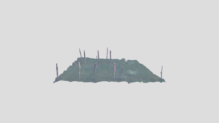 Pile dwelling site 3D Model