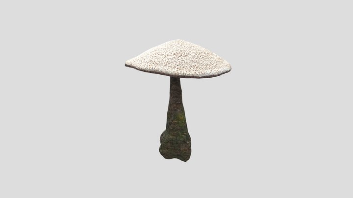 Giant Muhroom Tree 3D Model