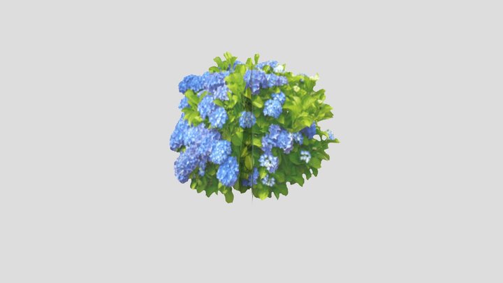 Hortência PSX 3D Model