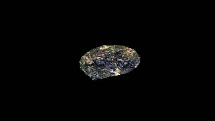 Campfire Photogrammetry Scan 3D Model