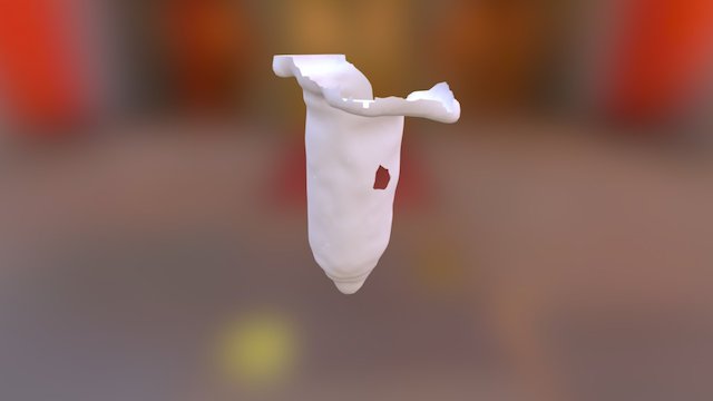 Model(1) 3D Model