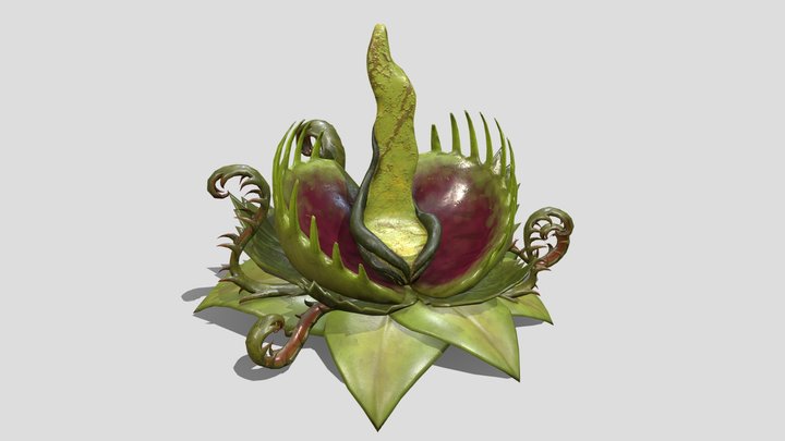 Venus Throne 3D Model