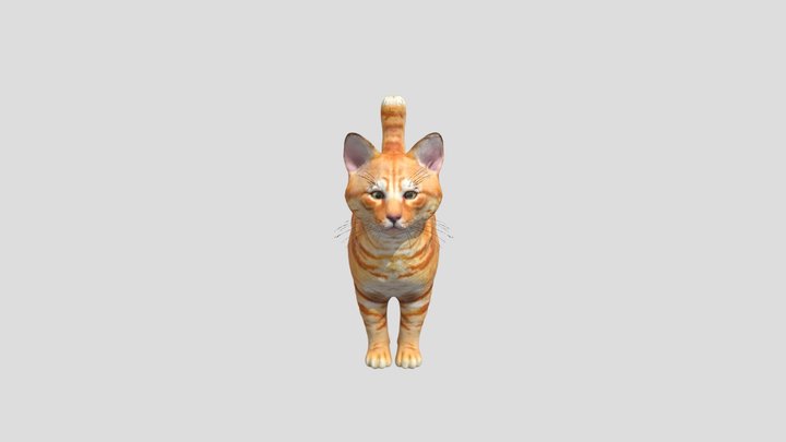 Orange tabby cat on a rug 3D Model