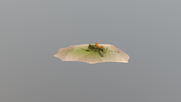 Freshman Imaging Project Cohort 9: Model Result 3D Model