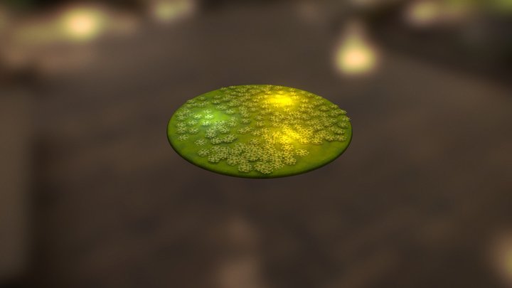 Clovers&Grass 3D Model