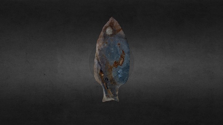 Fishtail Projectile Point 3D Model