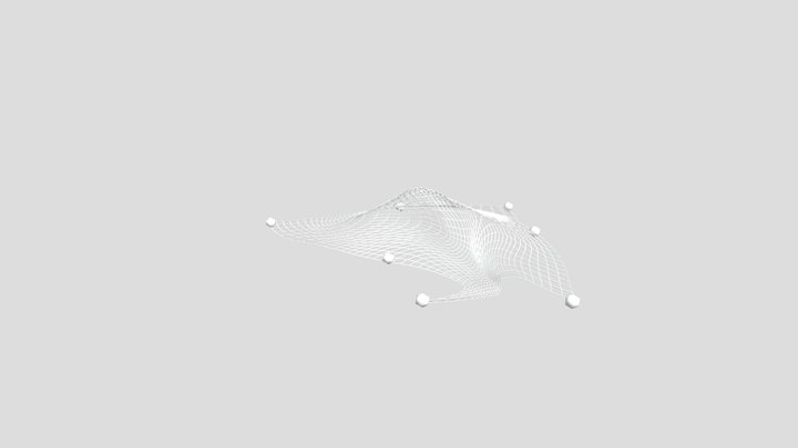 Net 3D Model