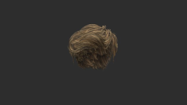 Hair Male Card 3D Model