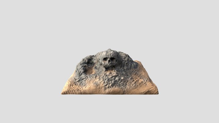 Skull Isle 3D Model