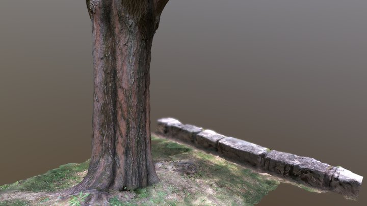 Styrian Tree 3D Model