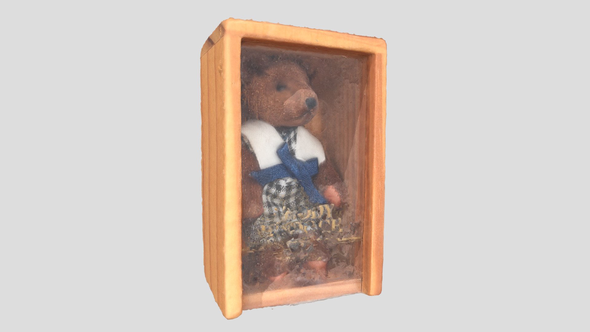 ちいさな熊 　A mini bear