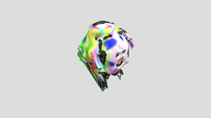 Faces and Traces 3D Model