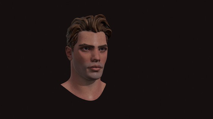 Andreas Erikson Bust 3D Model