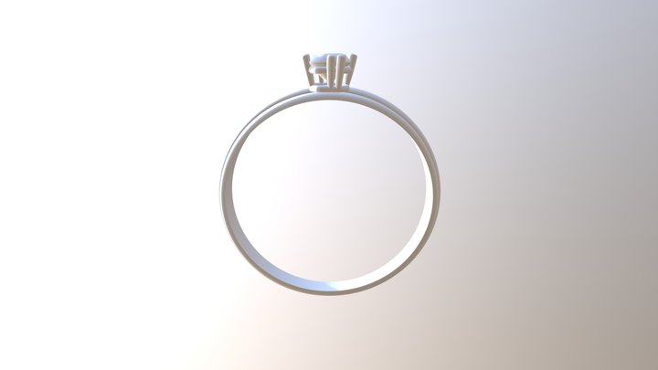 Ring01 3D Model