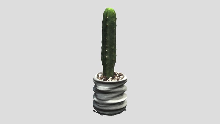 Undulate Planter w/ Trichocereus PC 3D Model