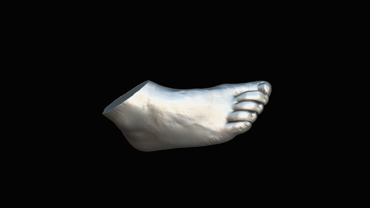 Human Foot – Modello 3D gratuito STL
