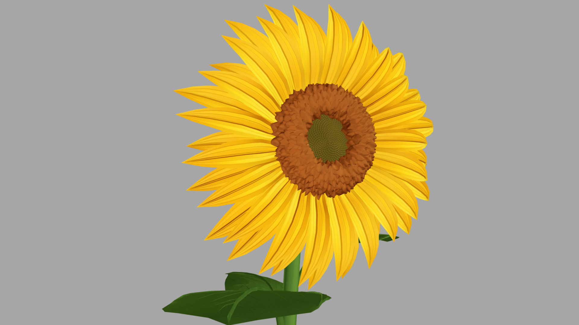 Cartoon-Styles Sunflower - Buy Royalty Free 3D model by NewDOF (@newdof)  [7420bce]
