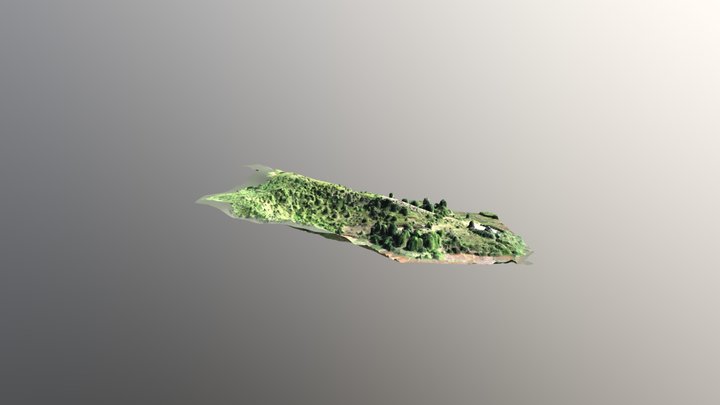 Ankehevo forest 3D Model