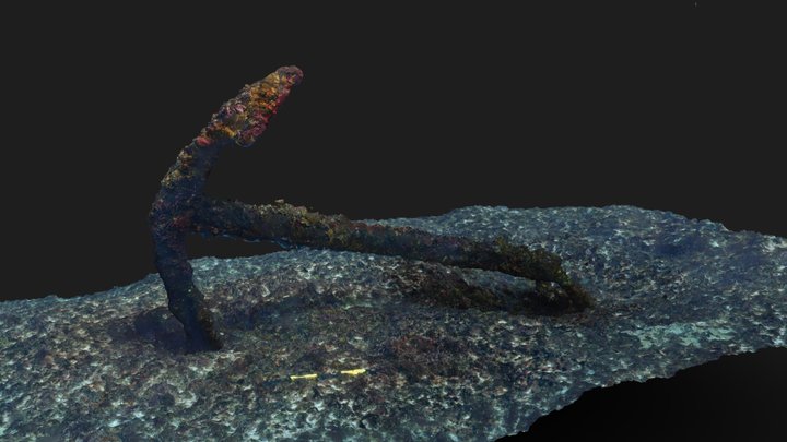 Zeewijk 1727 Shipwreck Anchor 3D Model