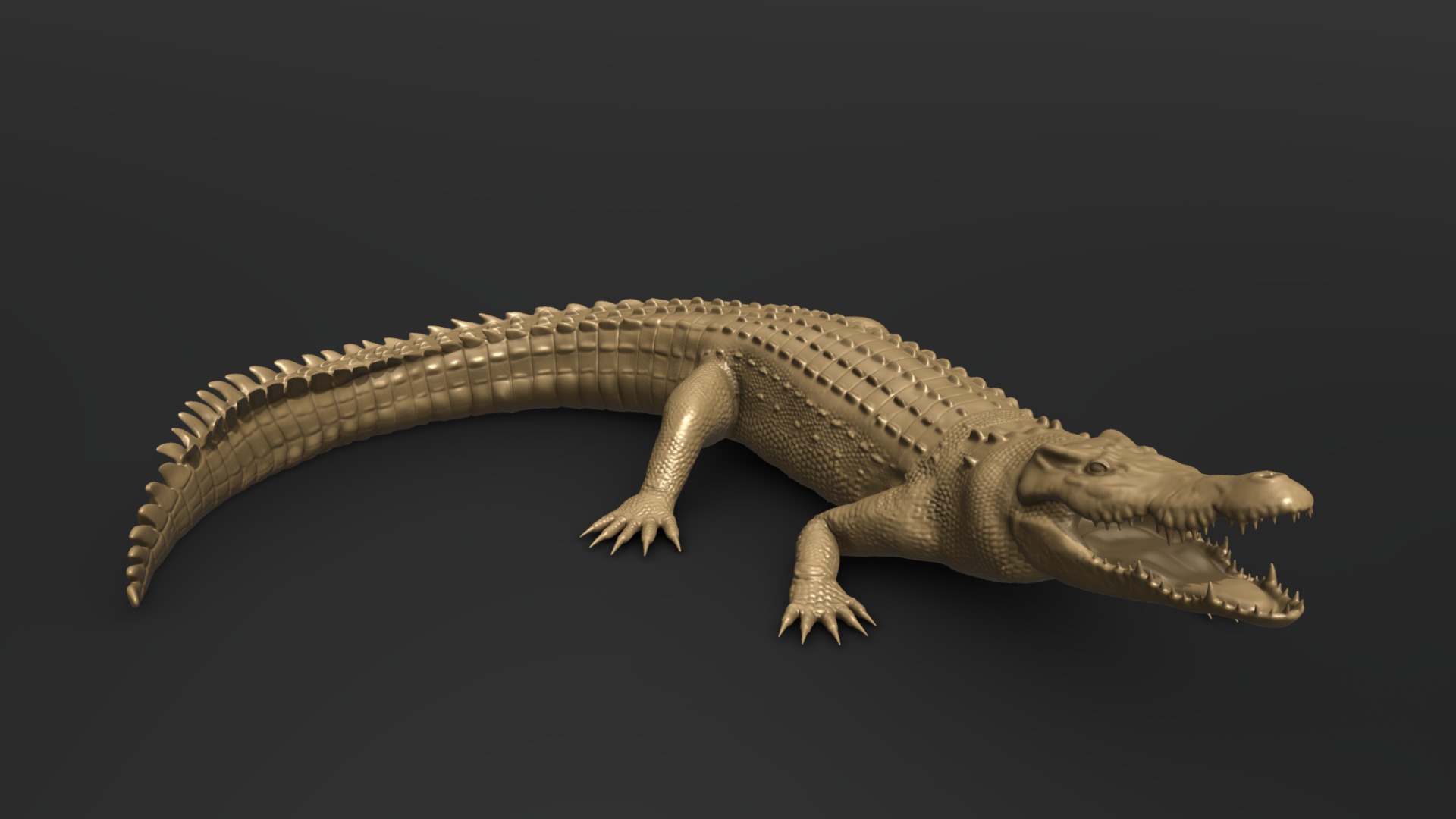 3D model Crocodile - This is a 3D model of the Crocodile. The 3D model is about a lizard with a long tail.