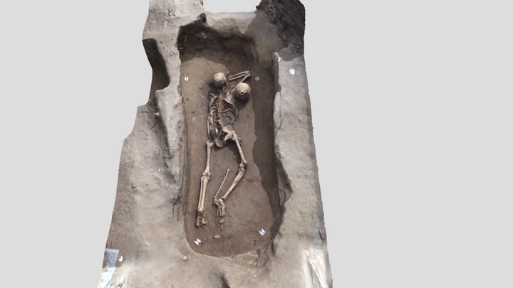 Inhumation gallo-romaine (F2248) 3D Model