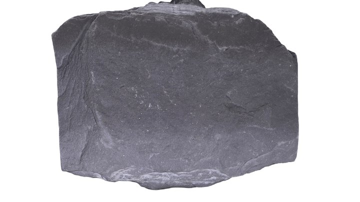 gray slate #77 3D Model