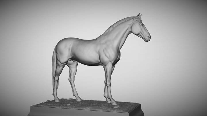 #Horse3 3D Model
