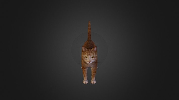 Cat 3D Model