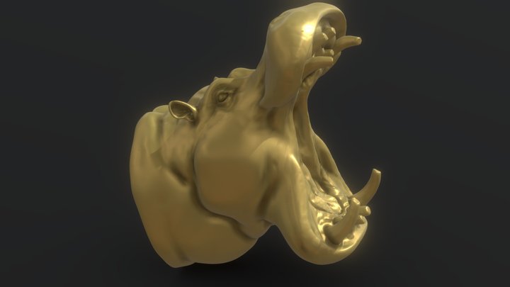 Sculpting - Hippopotamus – Gratis 3D-model STL