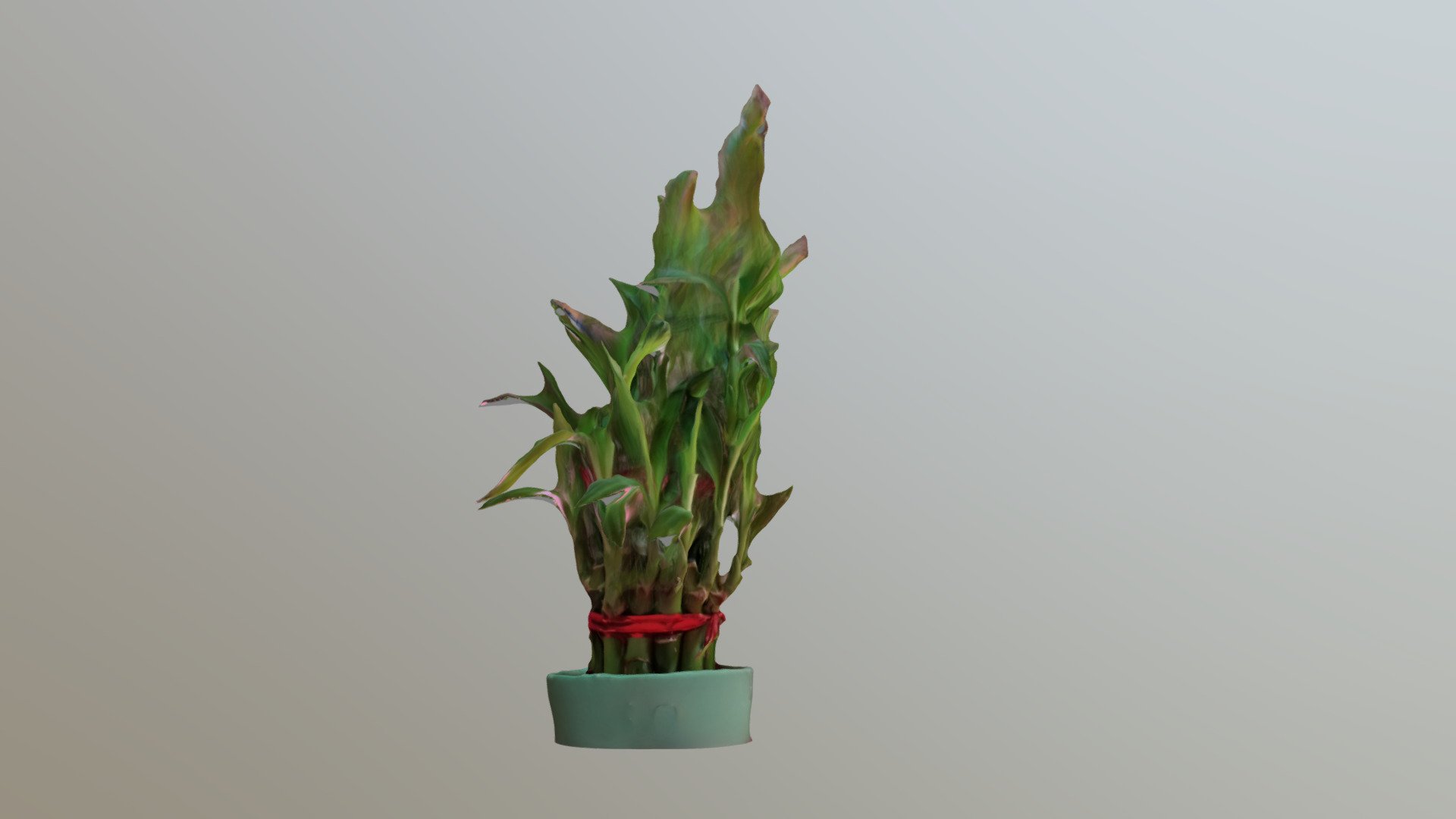 Bonsai 3D