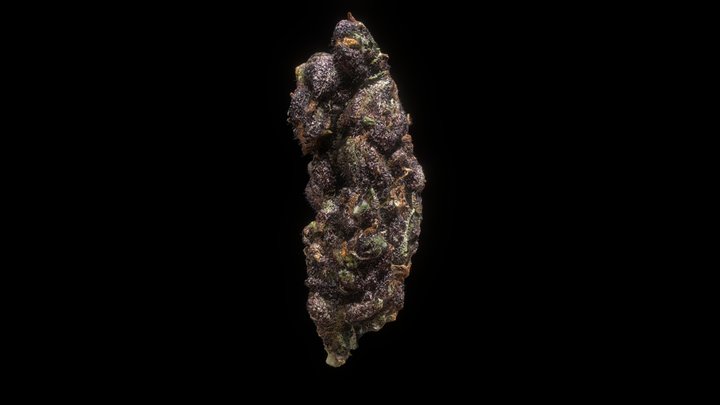 Bubble Bear Nug 3D Model