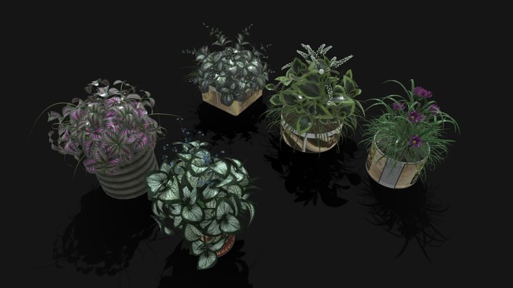 plant pack – Modello 3D gratuito STL