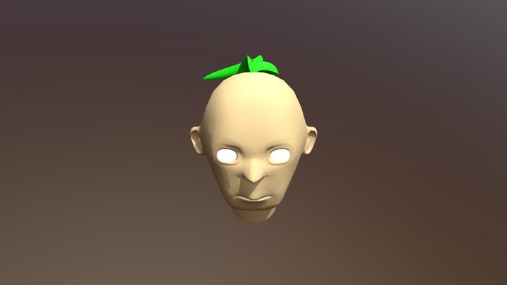 Head 3D Model