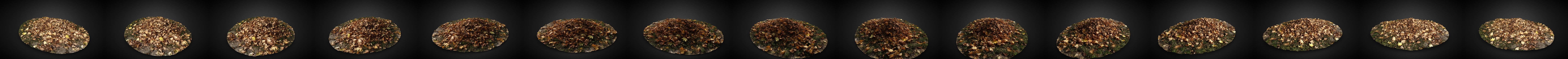 Autumn Leaves [free] 3D Model