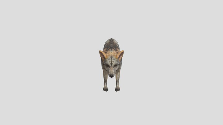 Crab-Eating Fox