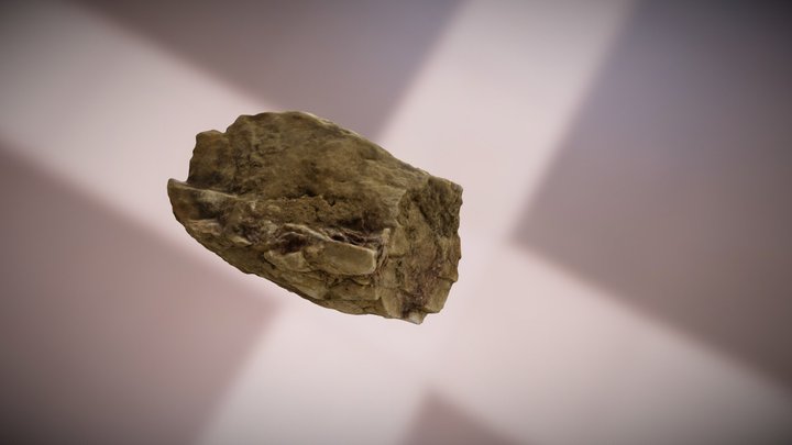 Rock 3 Test - Memento Beta 3D Model