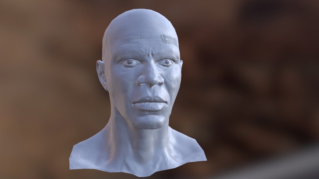 Bust 3d model